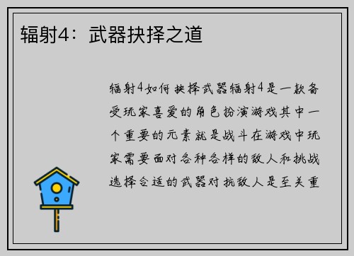 辐射4：武器抉择之道